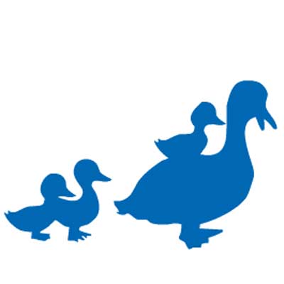 Sticker canards